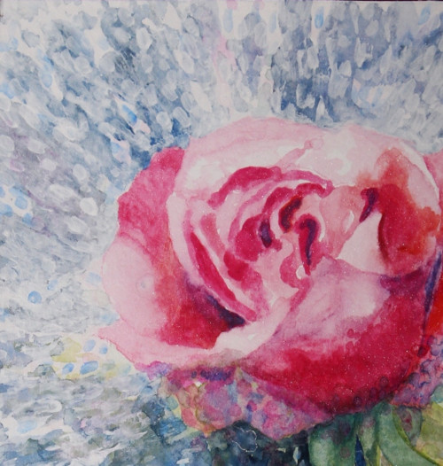 ...růže... — foto 2