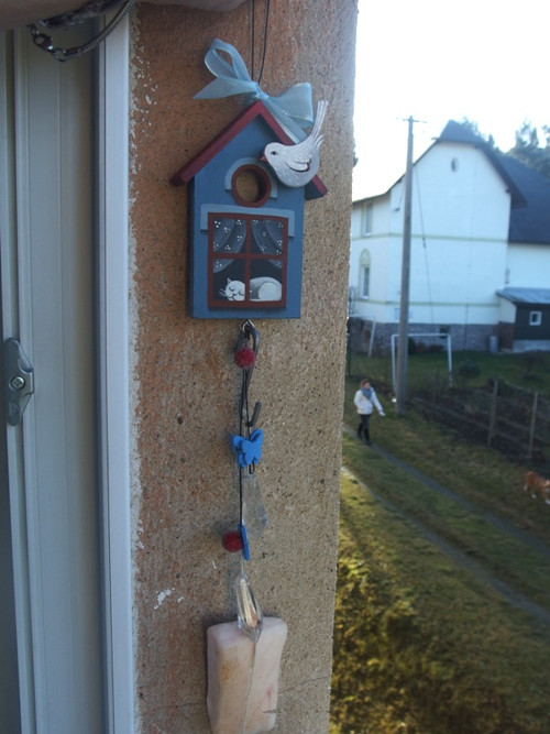 Krmíme ptáčky — foto 5
