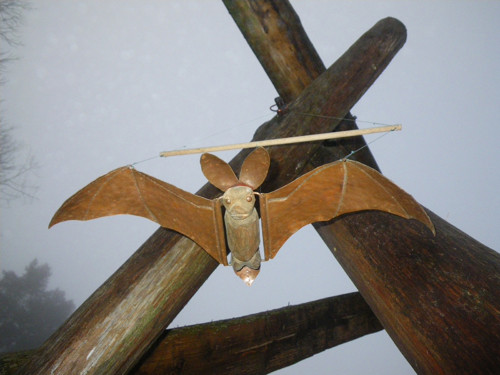 Letící netopýr — foto 2