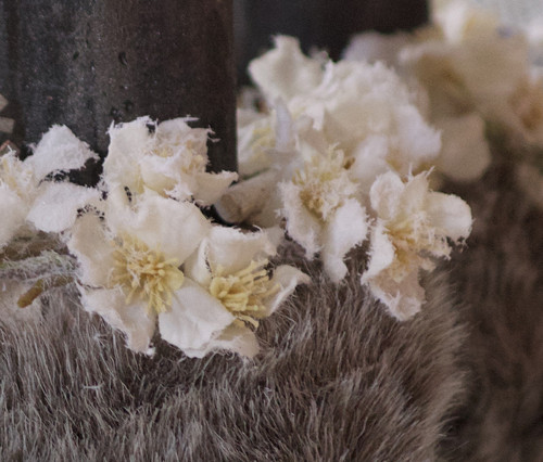 Svícen FurryBlossom — foto 5