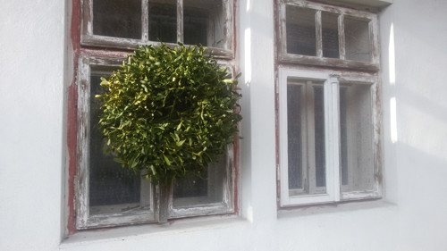 Věnec jmelí - obřík 60cm — foto 2