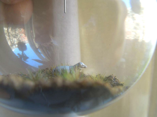 Ovčí příběh — foto 3