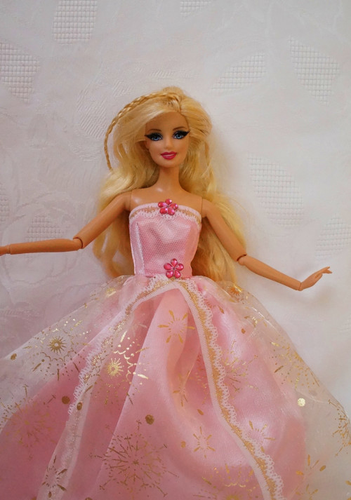 Růžová princezna — foto 2
