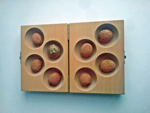 BonBon — foto 5