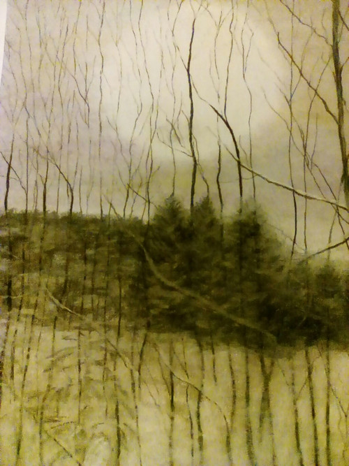 Zimní slunce — foto 2