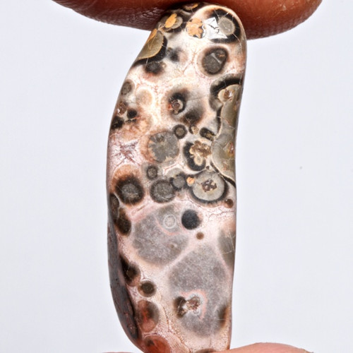 Jaspis leopardí — foto 2