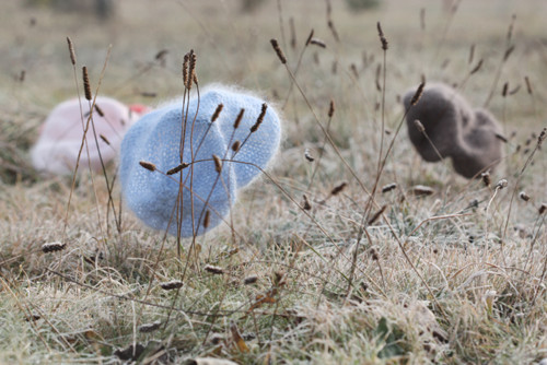 Čapulka - angora. — foto 2