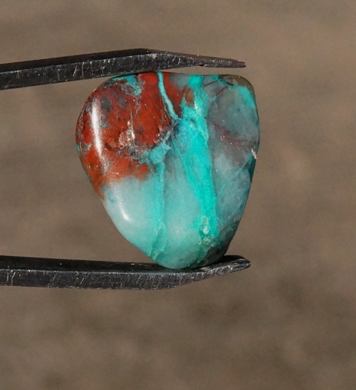 Chryzokol D1272 — foto 2