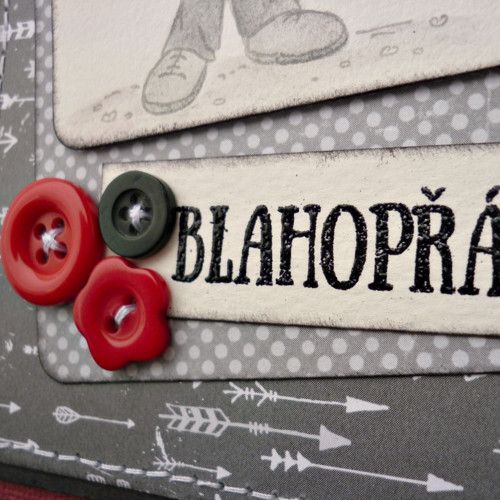 Svatební blahopřání — foto 2