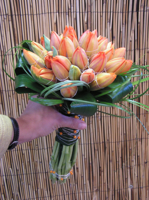 Oranžová tulipánová — foto 2
