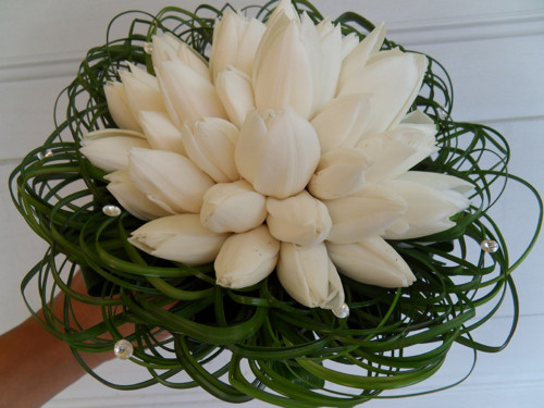 Bílá z tulipánků — foto 2