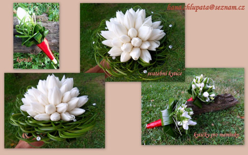 Bílá z tulipánků — foto 4