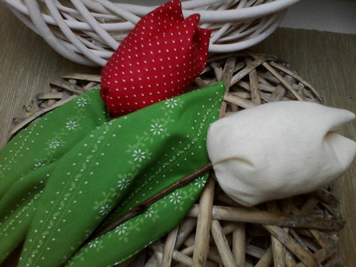 Tulipán — foto 3