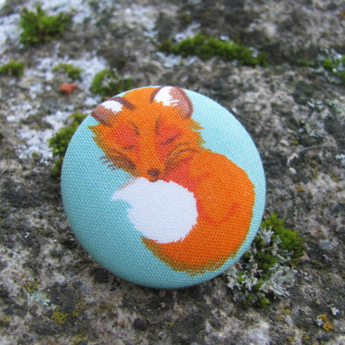 Knoflík - liška — foto 3