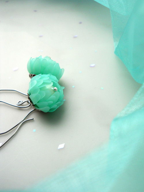 Chrysanthemum mint... — foto 4