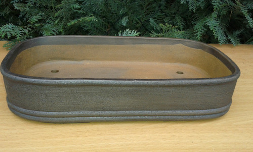 Miska Bonsai — foto 3