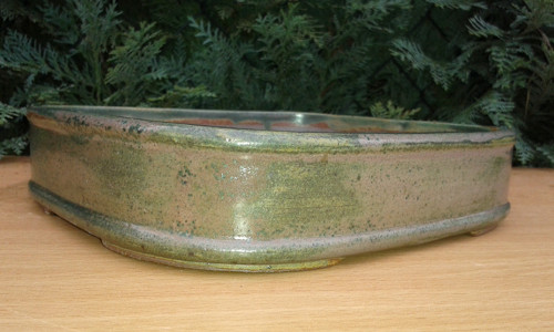 Miska Bonsai — foto 2