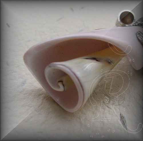 " PAN KVAK " .... — foto 5