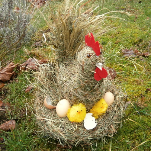 Slepice na seně... — foto 2
