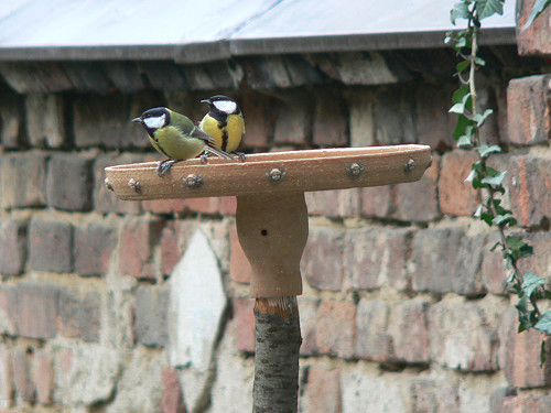 Keramické pítko cca 30cm — foto 5