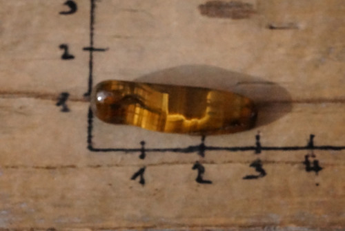 Tygří oko D1469 — foto 2