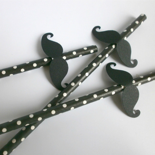 Brčko mustaches — foto 2