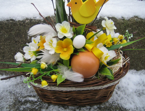 Košík s tulipány a ptáčkem — foto 5