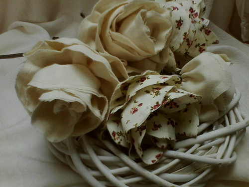 Květy velké RŮŽE — foto 3