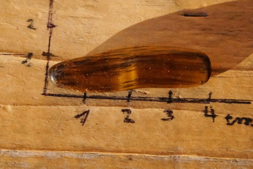 Tygří oko D1573 — foto 3