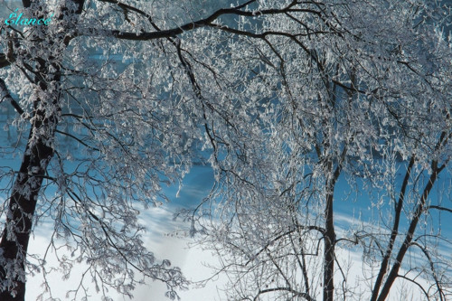 Zima za oknem IV — foto 2