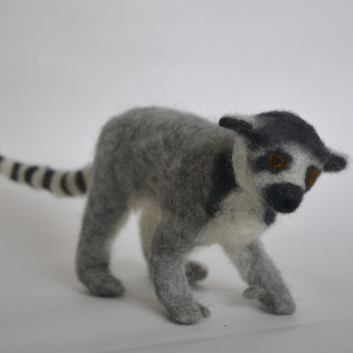 Lemur kata — foto 2