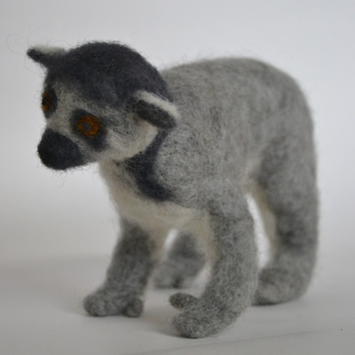 Lemur kata — foto 3