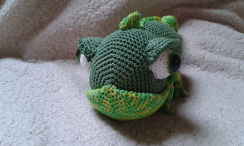 Chameleon na přání — foto 3