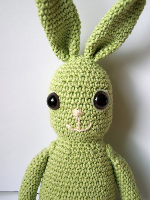 Zajda velký — foto 3