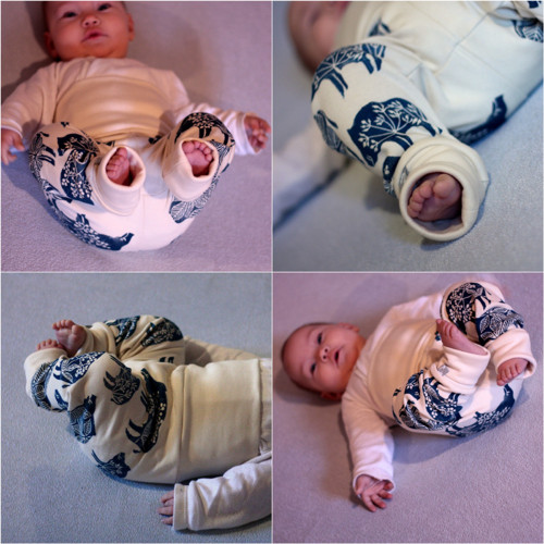 Mimi-legíny s divočáky (vel.6-9m) — foto 5
