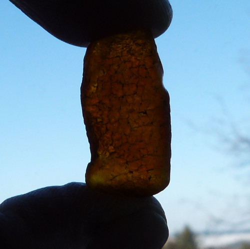 Jantar - 7 ks (J7) — foto 4