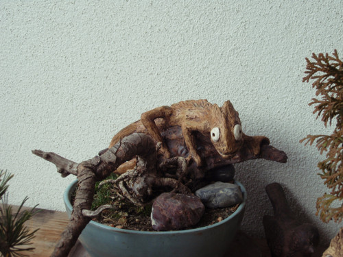 Chameleon — foto 3