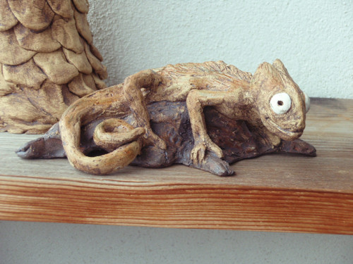 Chameleon — foto 4