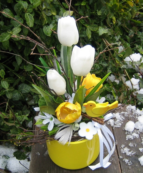 Tulipány a sněženky — foto 2