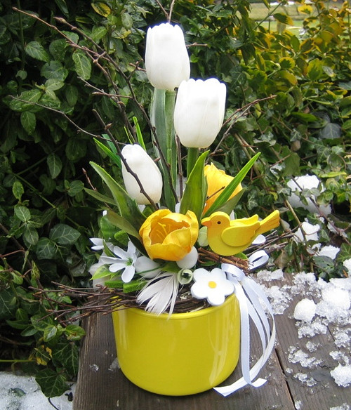 Tulipány a sněženky — foto 3