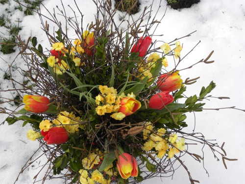Březová kytka s tulipány — foto 3