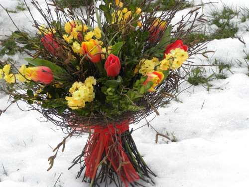 Březová kytka s tulipány — foto 5