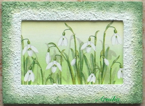 Sněženky — foto 2