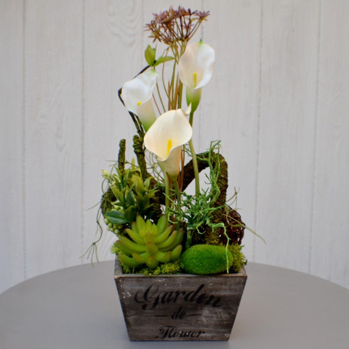 Kaly flowers v dřevěné nádobě — foto 2