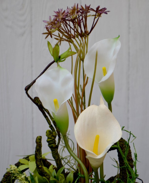 Kaly flowers v dřevěné nádobě — foto 3