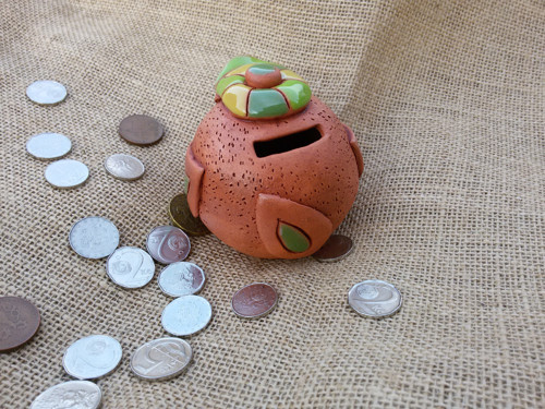 Ptáček šetřílek — foto 2