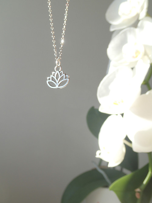 Lotus — foto 3