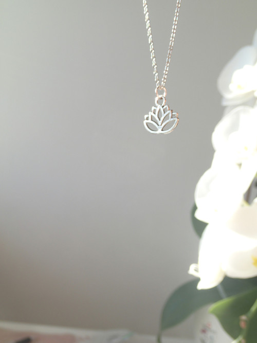 Lotus — foto 4