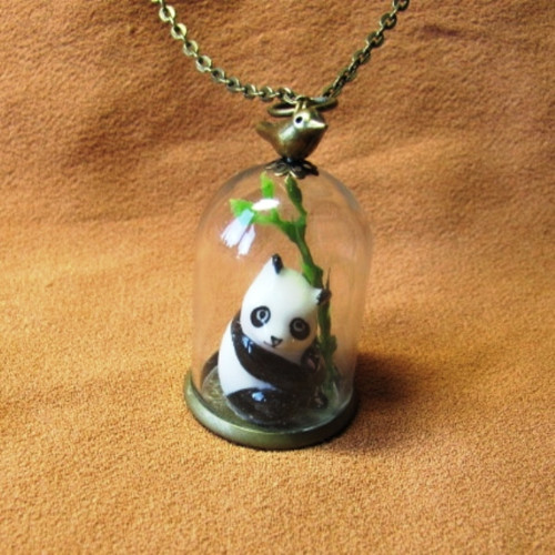 Pandí líheň.................. — foto 2
