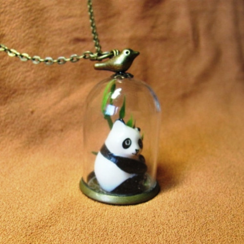 Pandí líheň.................. — foto 3